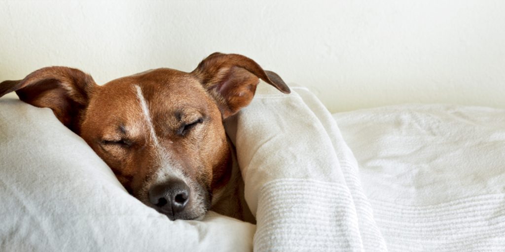 6726E6CE-2479-4BFC-8BE5-4104ADE45BA6-1024×576